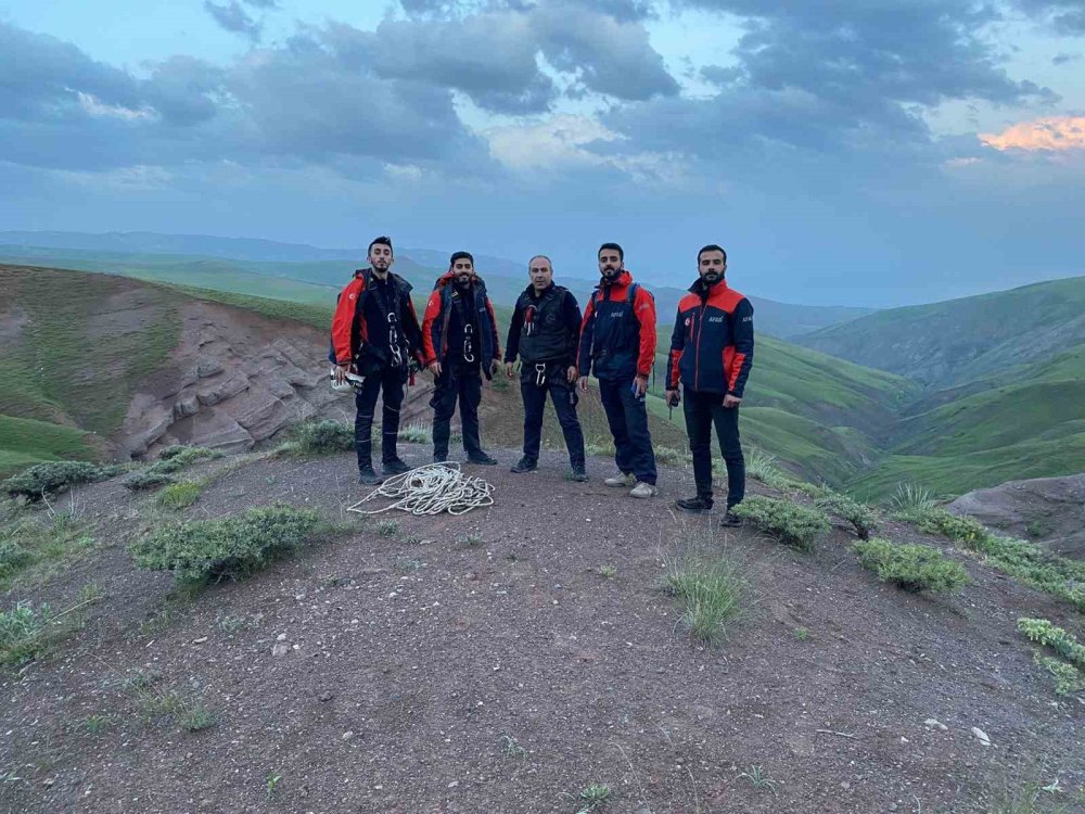 Bitlis'te kayalıkta mahsur kalan yavru oğlaklar kurtarıldı