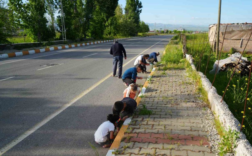 Muş’ta gökten yağan bilinmeyen cisimler şaşırttı