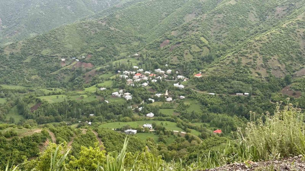 Şemdinli yeşil doğasıyla Karadeniz’i aratmıyor