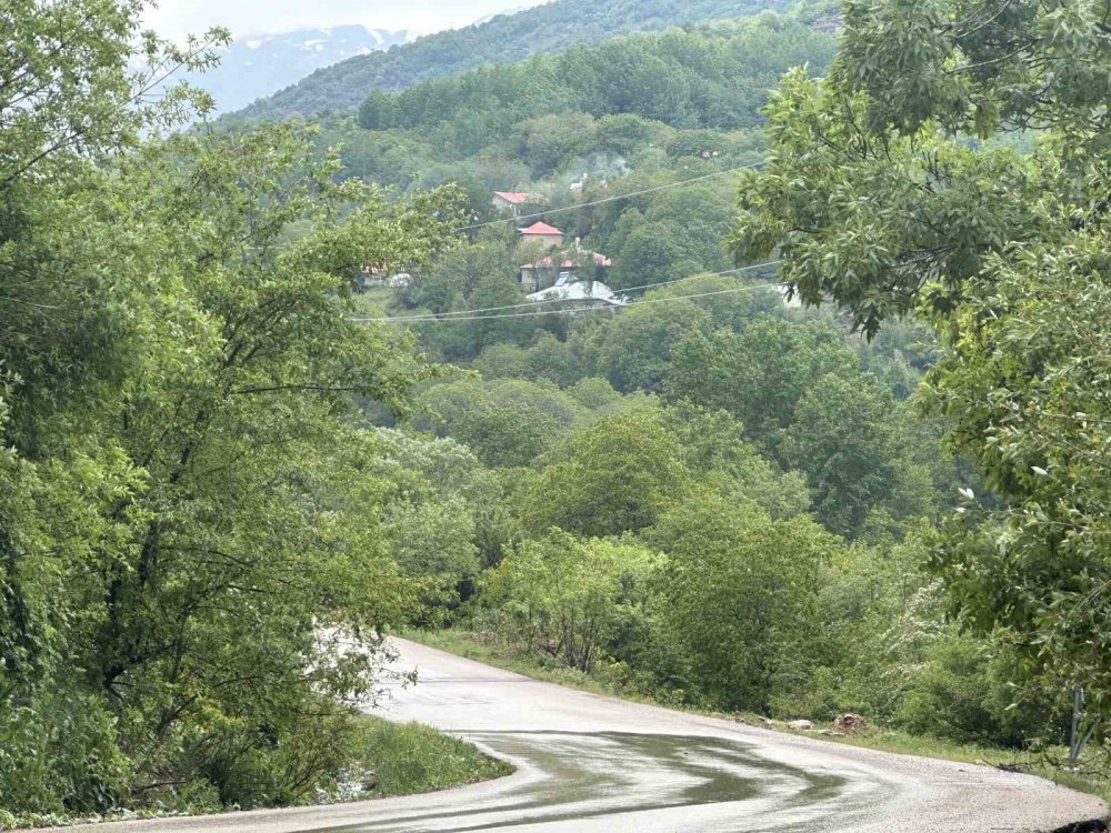 Şemdinli yeşil doğasıyla Karadeniz’i aratmıyor