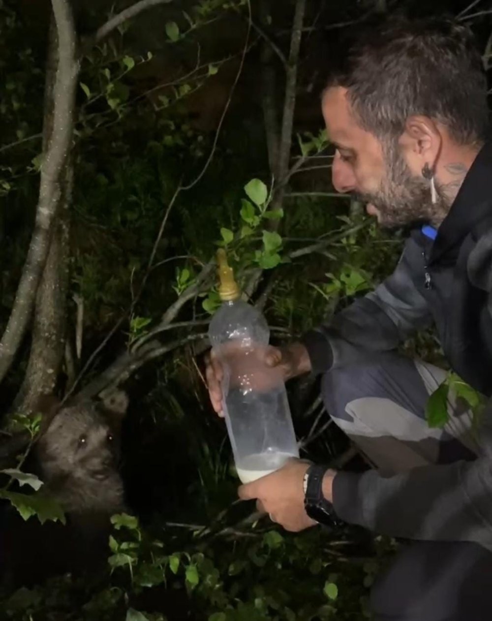 Yolda gördüğü yavru ayıyı biberonla besledi