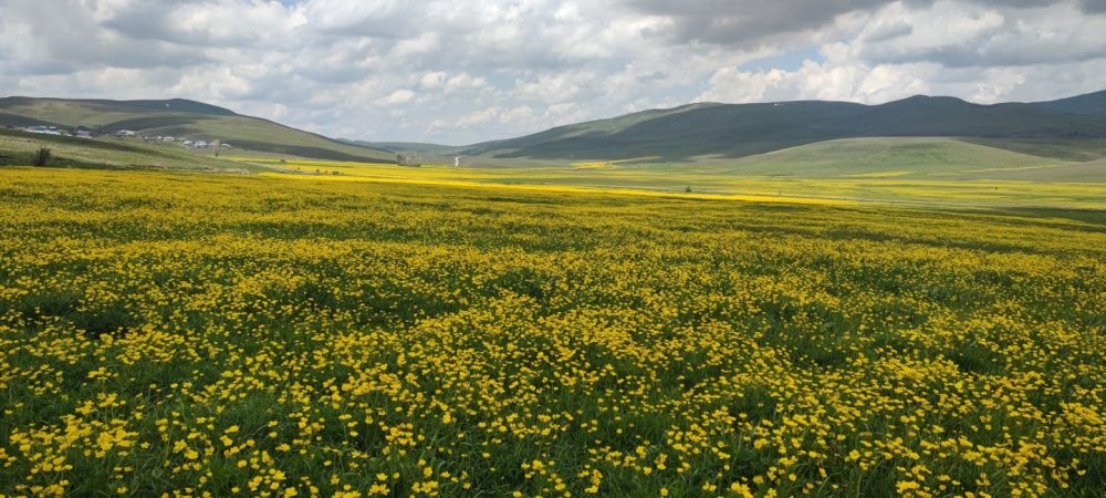 Erzurum'un zirvesinde görsel şölen