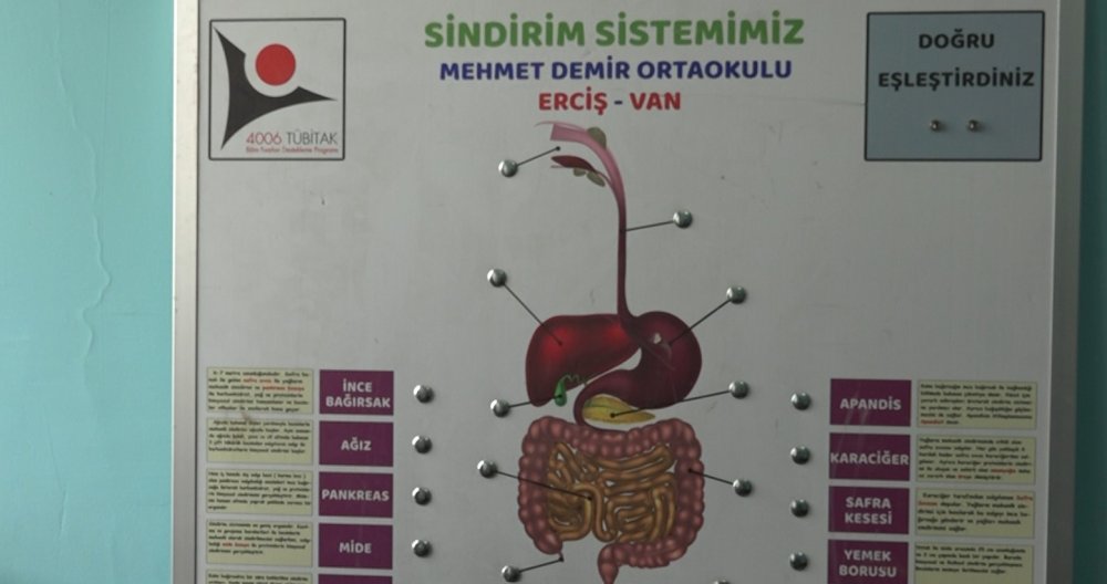 Van'da fen bilgisi öğretmeni materyal tasarım yarışmasında dereceye girdi