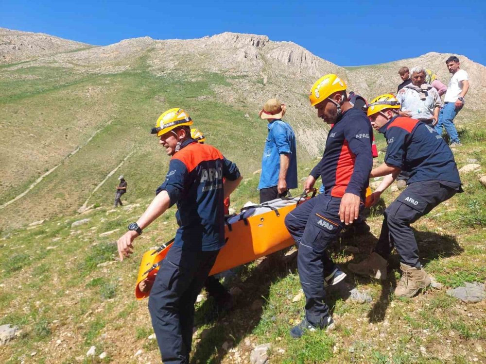 Van'da kayalıklardan düşen 2 kişi kurtarıldı