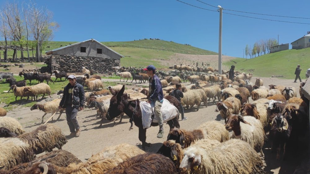 Bitlis'te besicilerin zorlu mesaisi