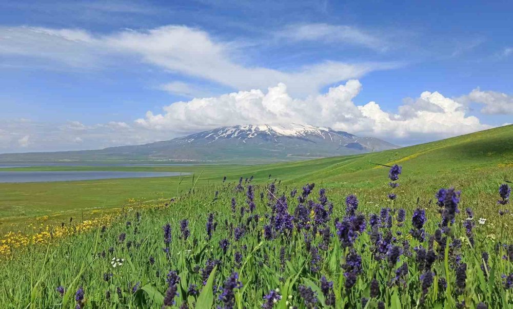 Sütey Yaylası ve Süphan Dağı’ndan kartpostallık kareler