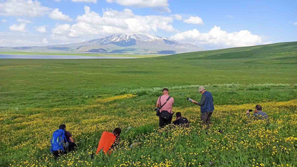 Sütey Yaylası ve Süphan Dağı’ndan kartpostallık kareler