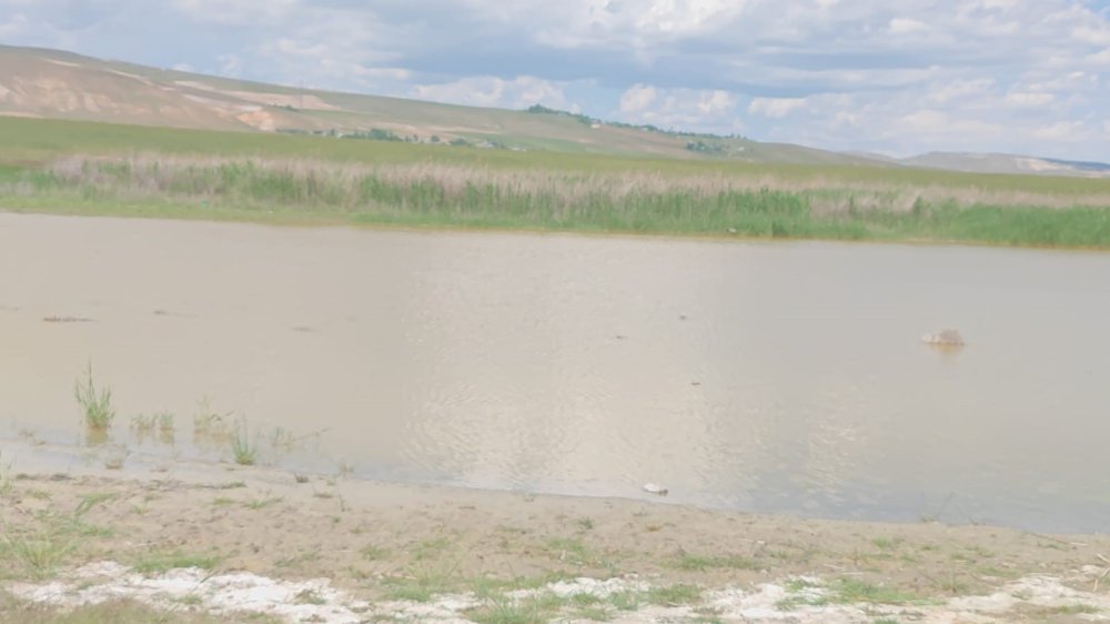 Bitlis'te kuruyan göl yeniden doldu