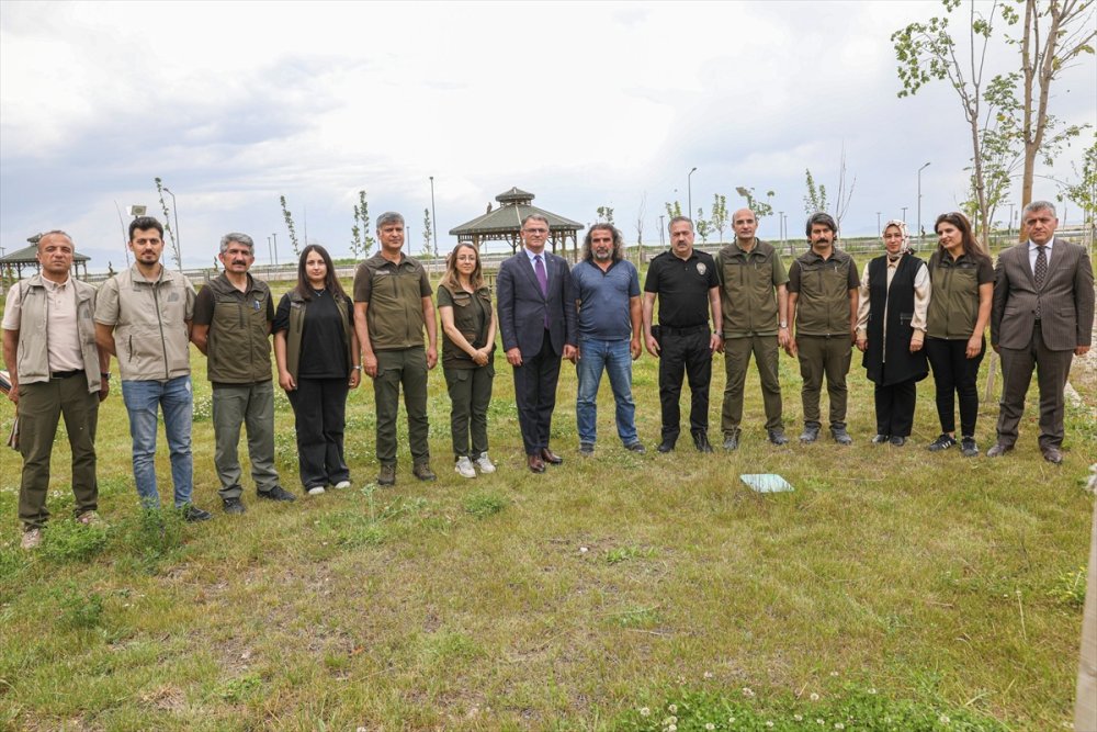 Van'da tedavileri tamamlanan yaban kuşları özgürlüklerine kavuştu