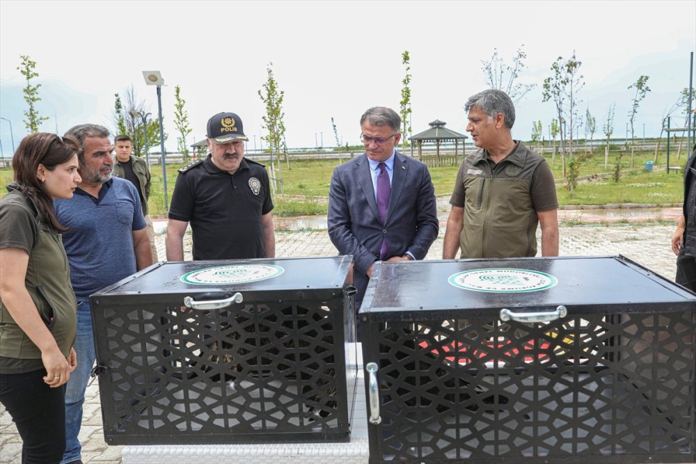 Van'da tedavileri tamamlanan yaban kuşları özgürlüklerine kavuştu