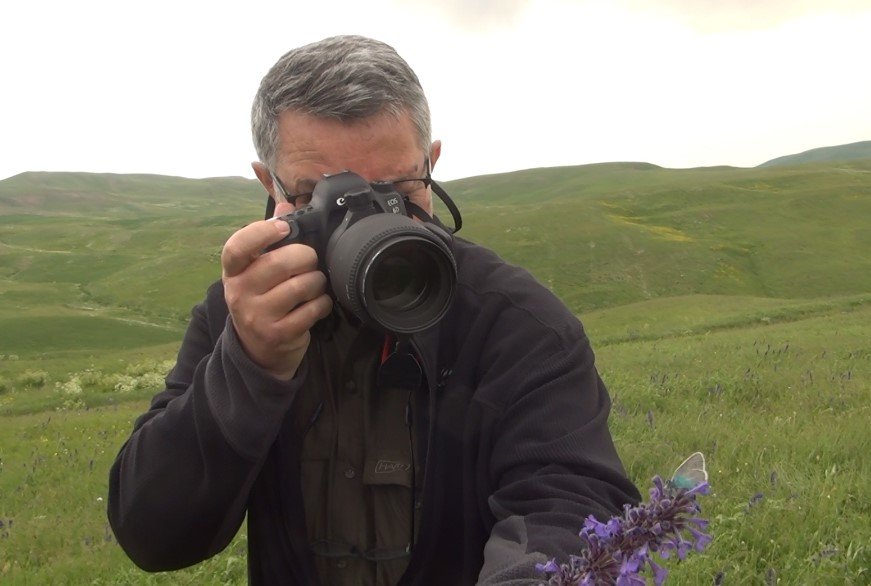 Bitlis'in zirvesinde endemik kelebek kaydı