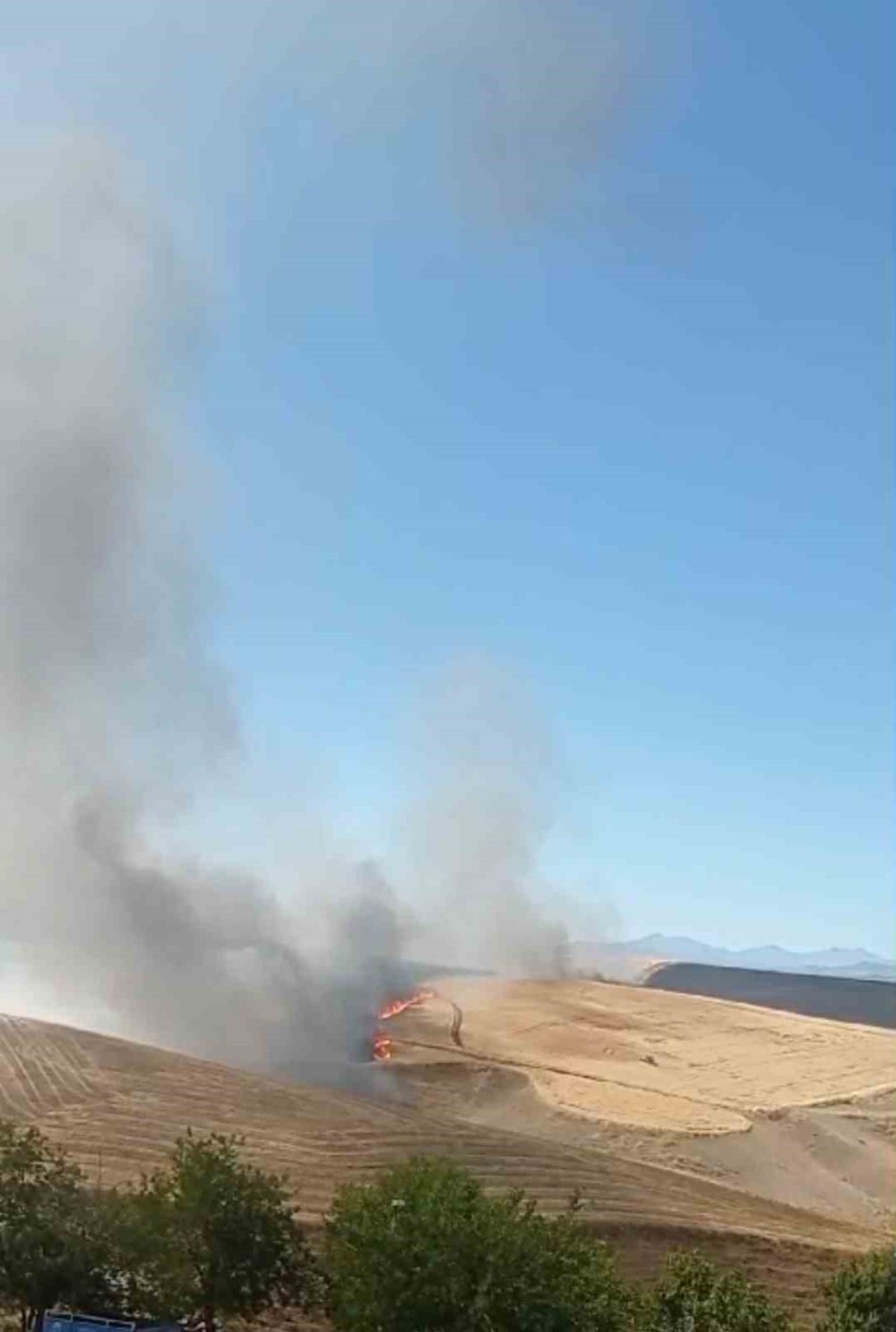 Diyarbakır’da bin dönümlük arazi kül oldu