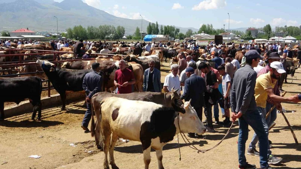 Van’da sıkı pazarlıklar başladı