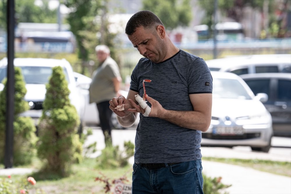 Erzurum ve Erzincan'da "acemi kasaplar" hastanelik oldu