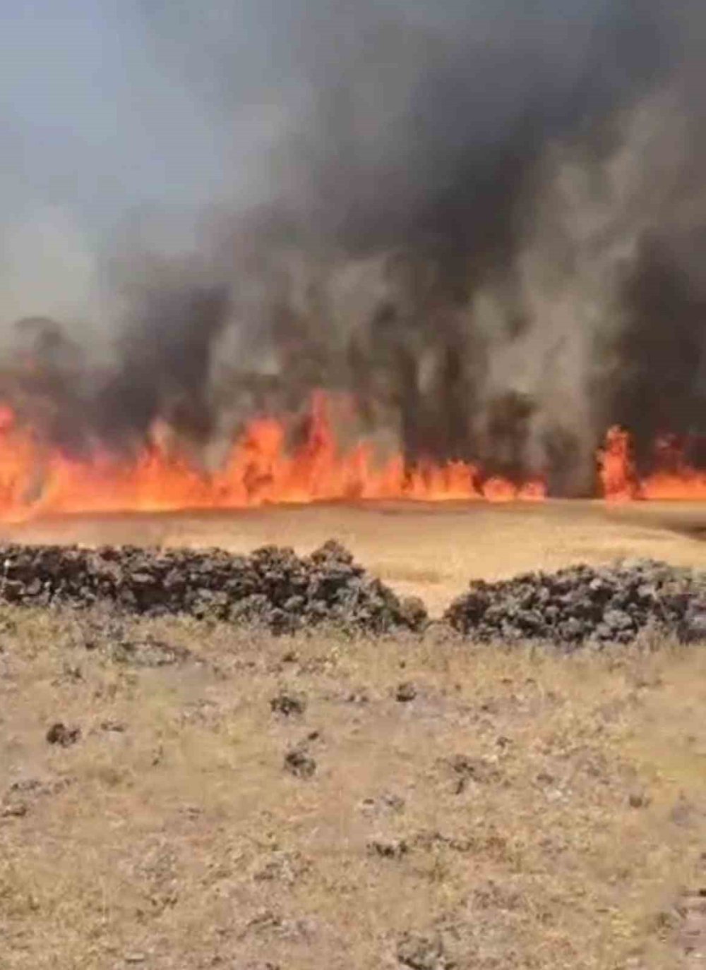 Diyarbakır’da hem arazi hem biçerdöver yandı