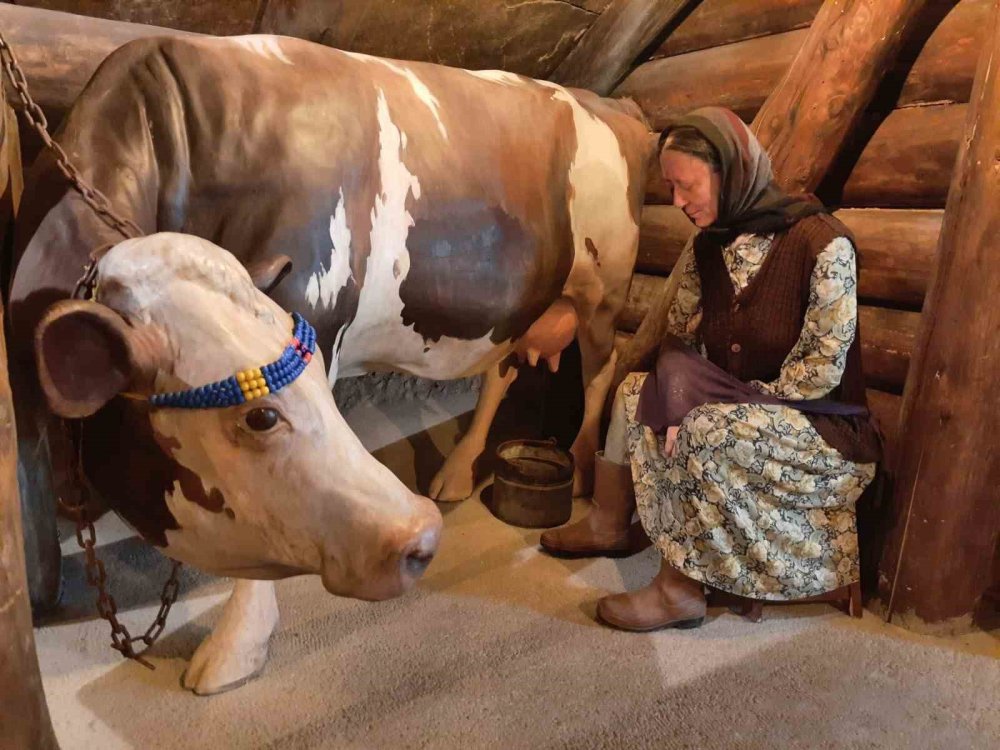 Kars Peynir Müzesi yoğun ilgi gördü