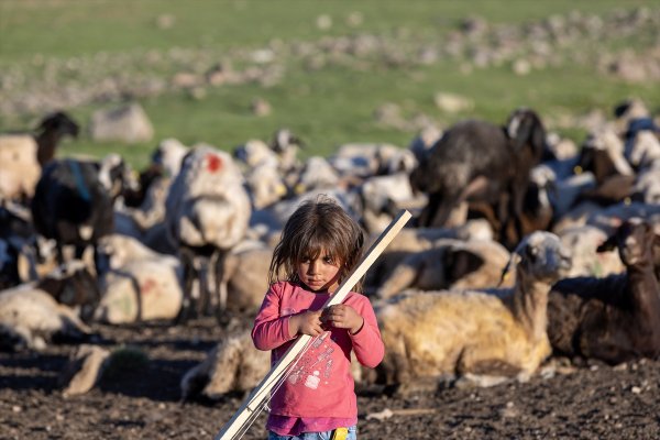 aa-20240625-34963929-34963926-erzurumun-karli-yaylalari-gocer-aileleri-agirliyor.jpg