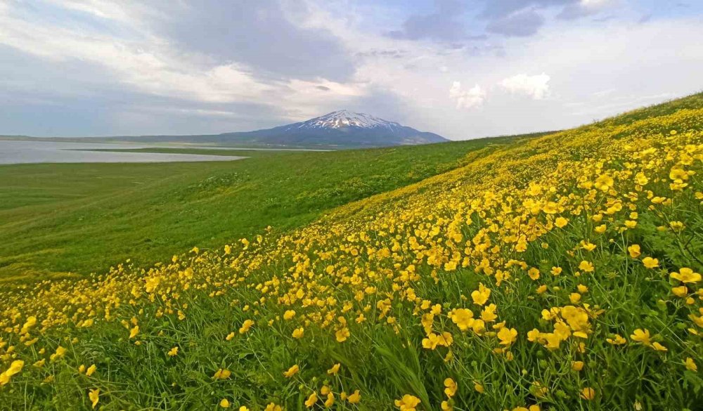 Sütey Yaylası ve Süphan Dağı'nın manzarası büyülüyor