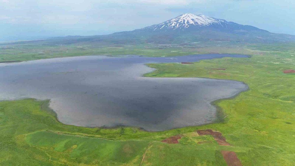 Sütey Yaylası ve Süphan Dağı'nın manzarası büyülüyor