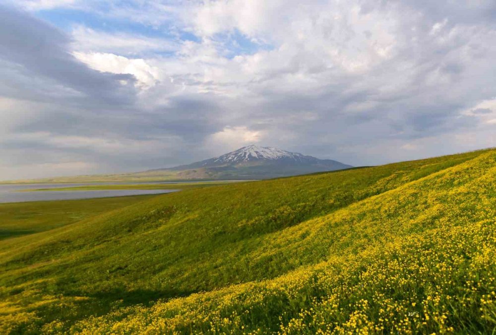 Sütey Yaylası ve Süphan Dağı'nın manzarası büyülüyor