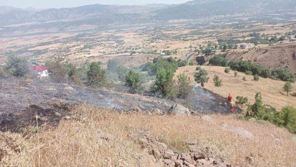 Bingöl’de çıkan yangın ormanlık alana sıçramadan söndürüldü