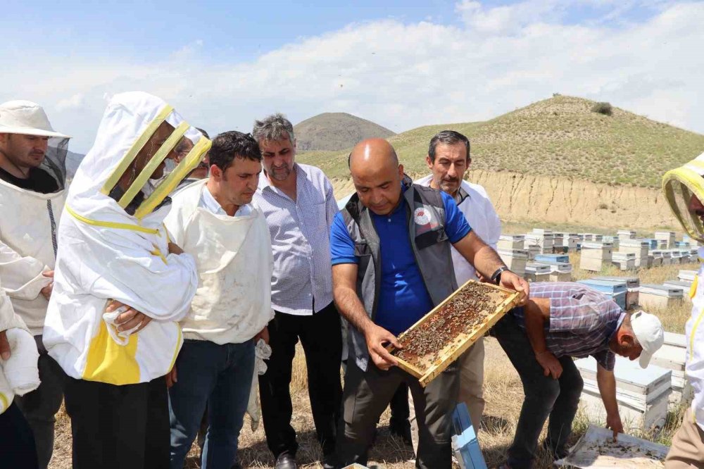 Erzurum’da arıcılara ana arı üretimi öğretildi