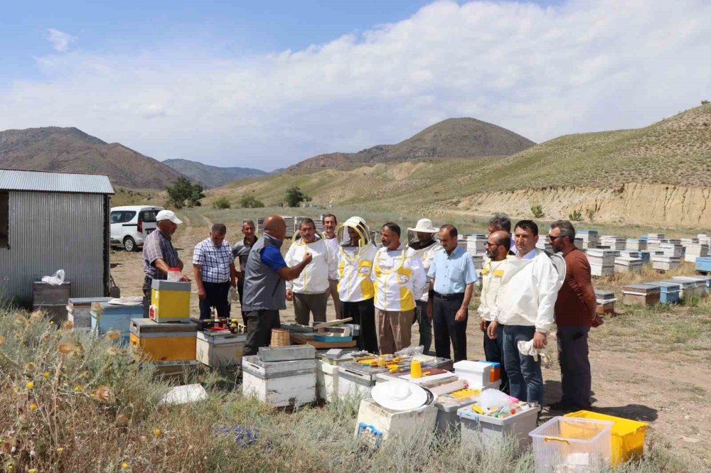 Erzurum’da arıcılara ana arı üretimi öğretildi