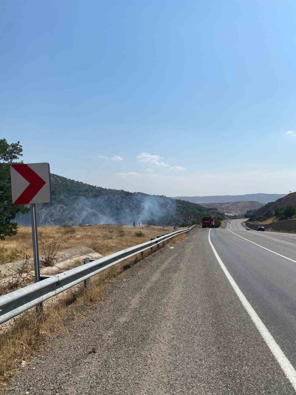 Siirt’te çıkan orman yangını kontrol altına alındı