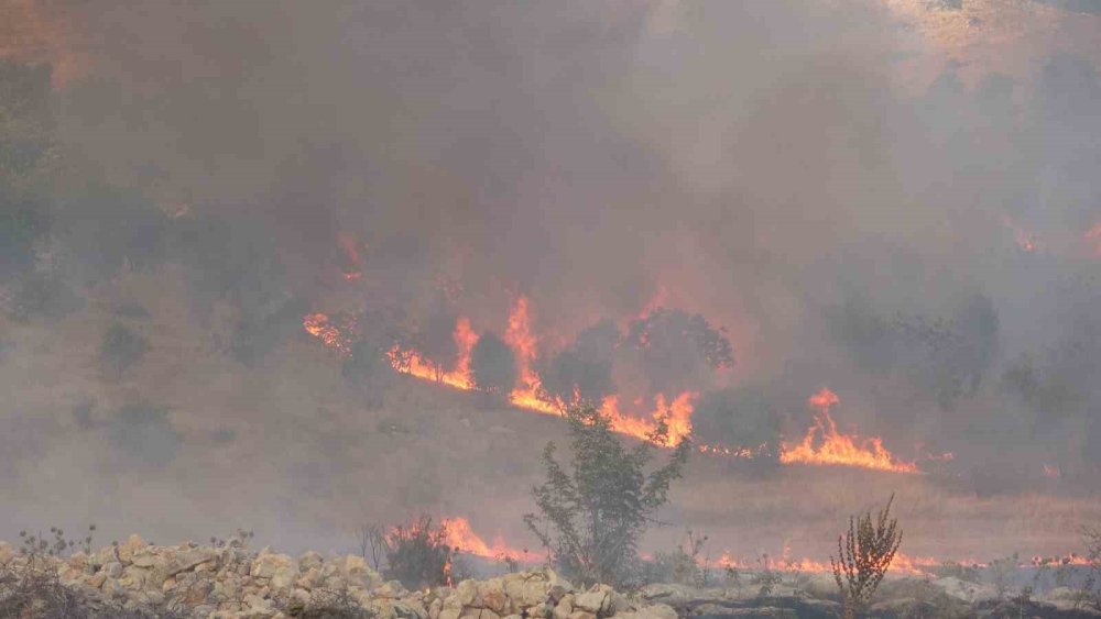 Adıyaman’daki orman yangınına müdahale sürüyor