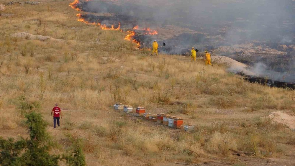 Adıyaman’daki orman yangınına müdahale sürüyor