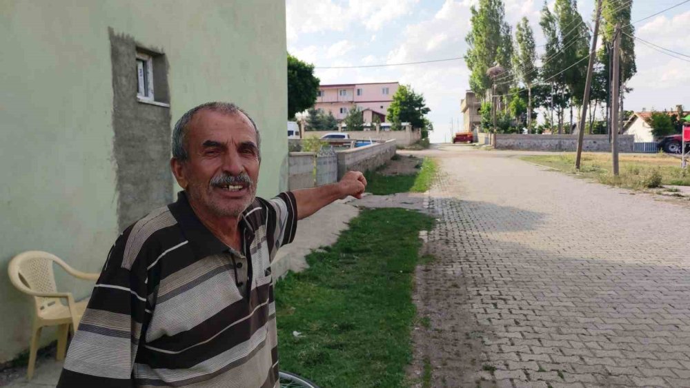 Van'da yavru leylekler kanat çırpmaya hazırlanıyor