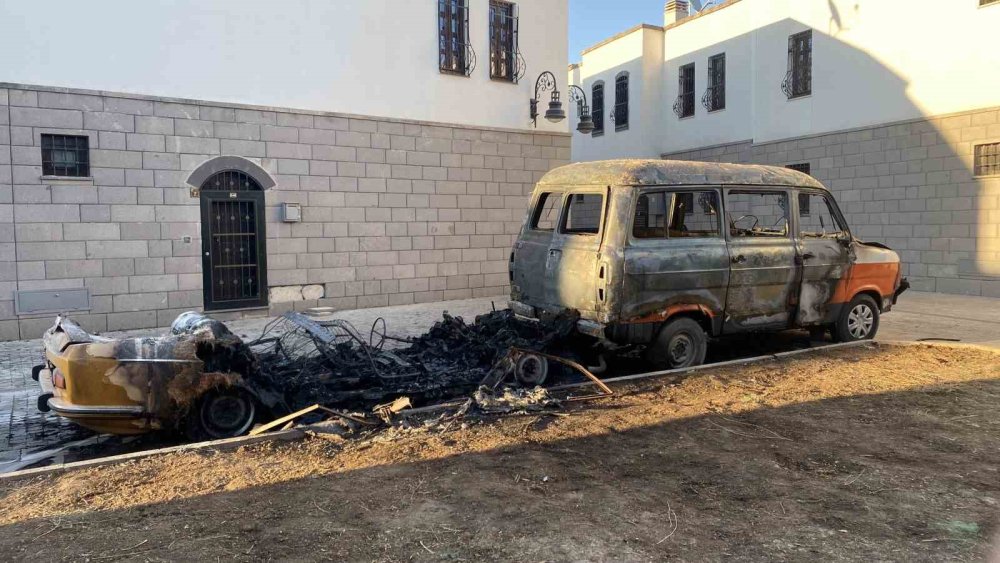 Diyarbakır’da park halindeki minibüs ve otomobil kül oldu