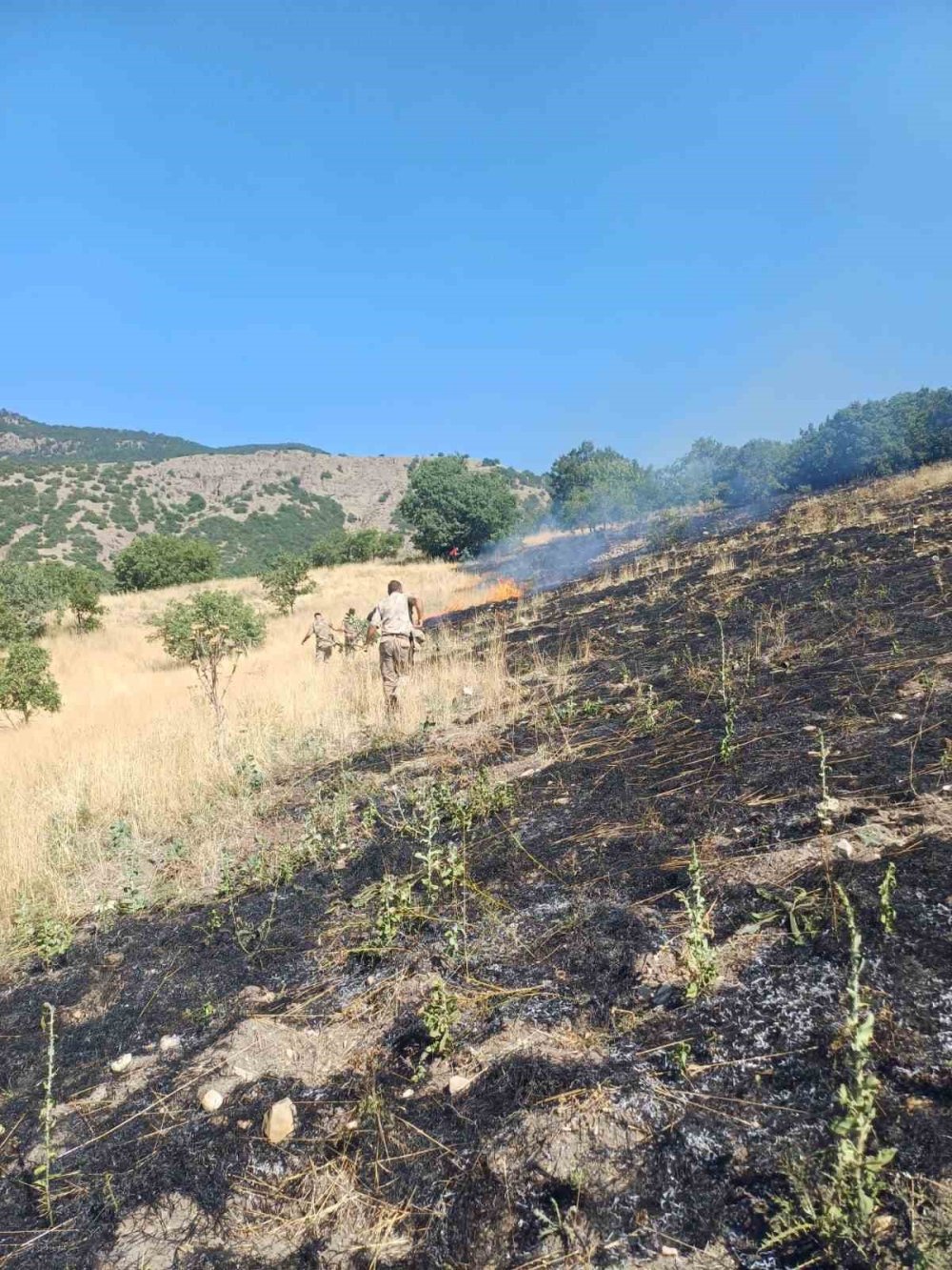 Bingöl’de otluk alandaki yangın ormana sıçramadan söndürüldü