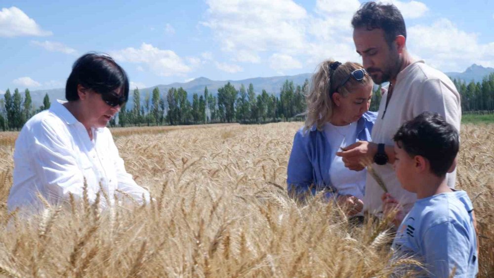 Erzurum’da 22 yıllık emek başak verdi