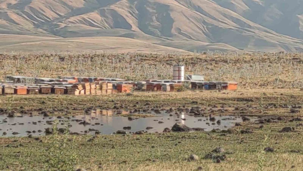 Van’da etkili olan sağanakta arı kovanları sular altında kaldı