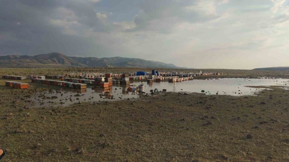 Van’da etkili olan sağanakta arı kovanları sular altında kaldı