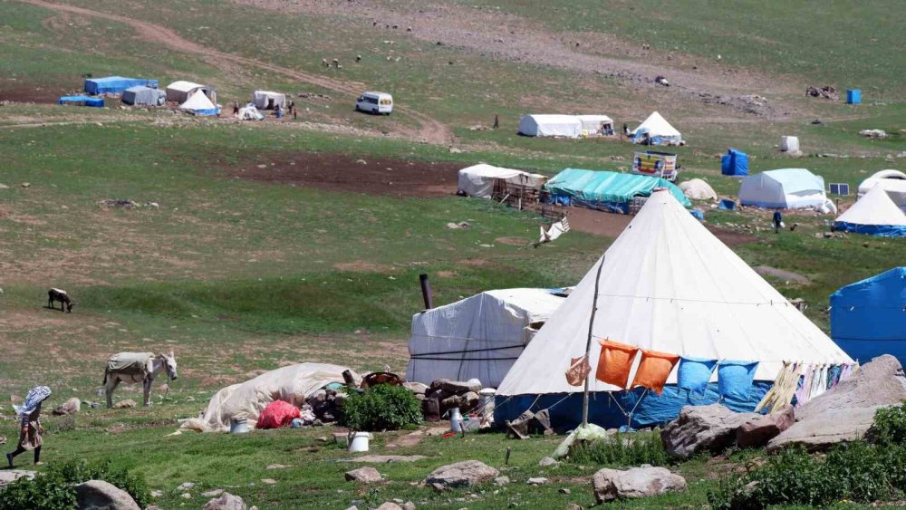 Erzurum’un yayları göçerlere ev sahipliği yapıyor