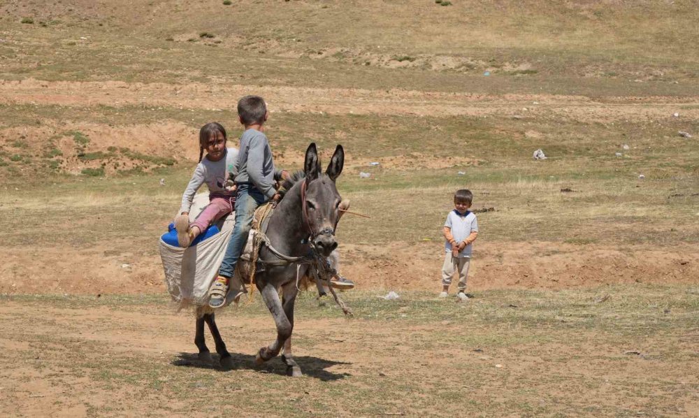 Muşlu çocuklar tatilin keyfini yaylada çıkarıyor