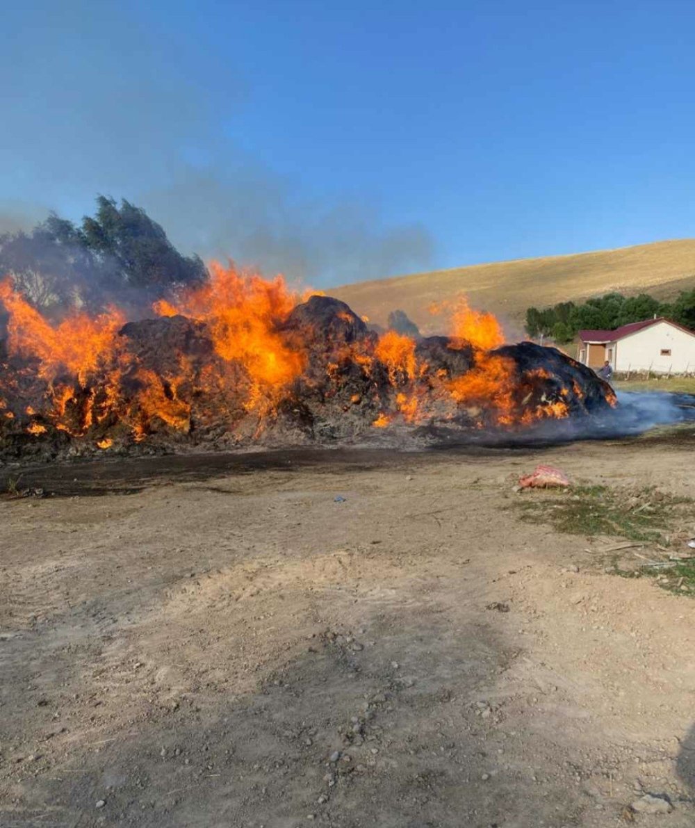 Van'da 4 bin bağ ot alev alev yandı