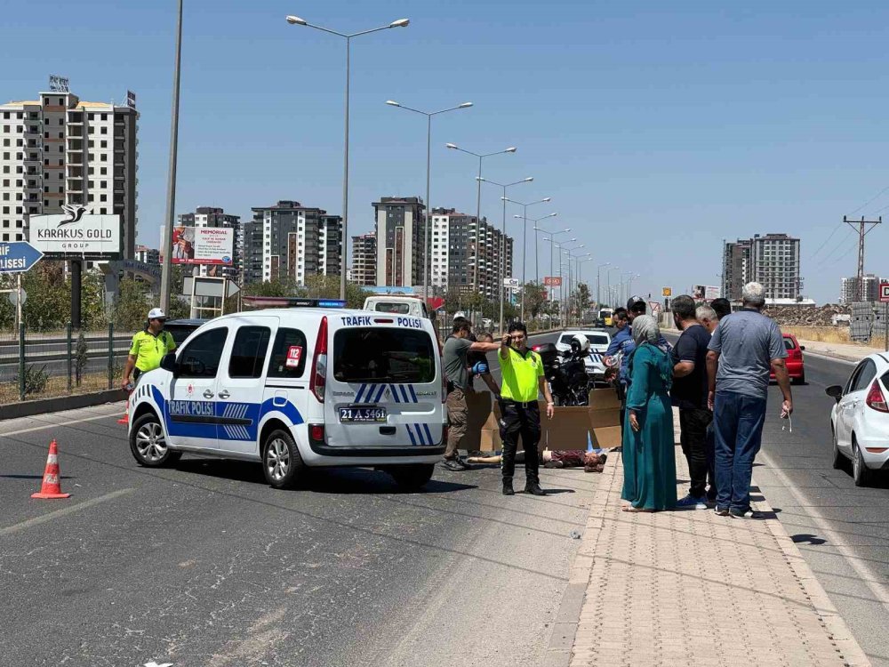 Diyarbakır'da karşıdan karşıya geçerken canından oldu