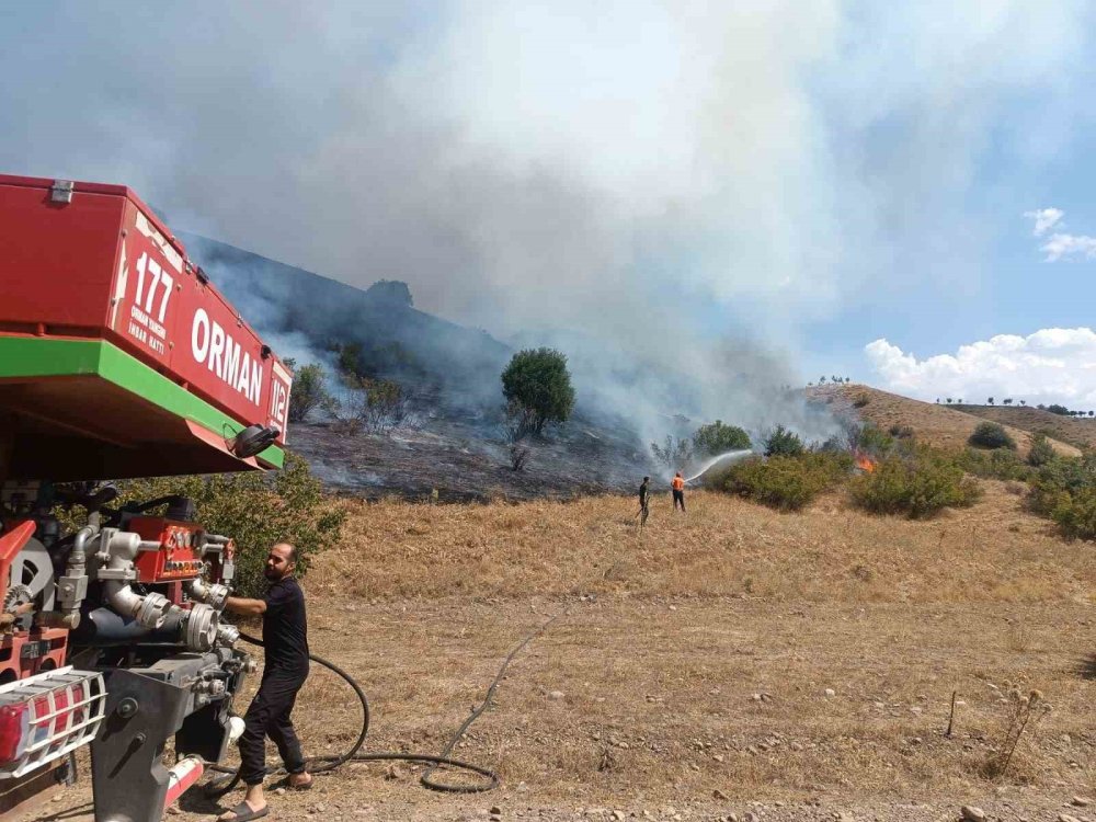 Bingöl’de çıkan orman yangını evlere sıçramadan söndürüldü