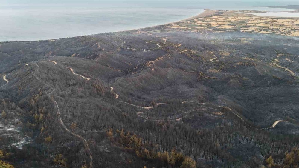 Orman yangını sonrası Çanakkale Savaşları’ndan kalma top mermisi ortaya çıktı