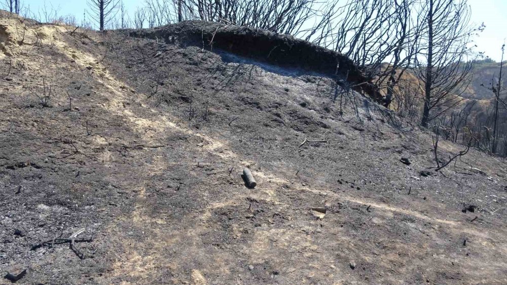 Orman yangını sonrası Çanakkale Savaşları’ndan kalma top mermisi ortaya çıktı