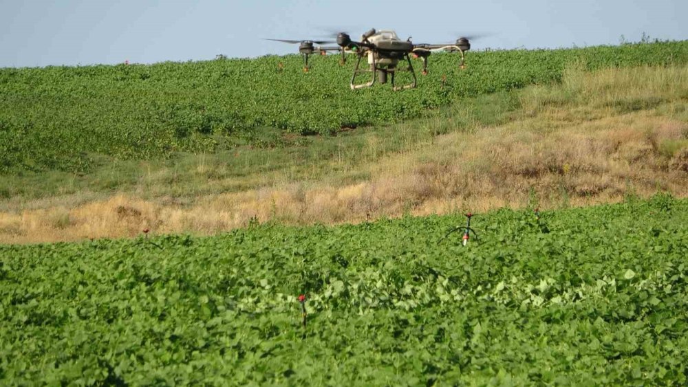 Bitlisli çiftçiler ilaçlamayı dronla yapıyor