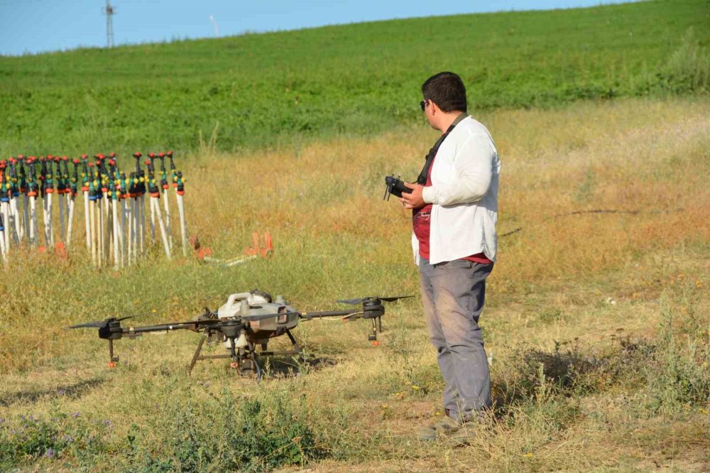 Bitlisli çiftçiler ilaçlamayı dronla yapıyor