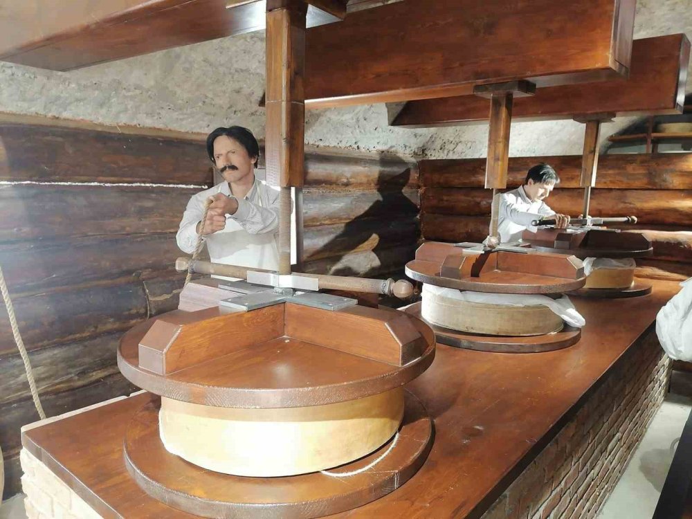 Kars Peynir Müzesi'ne yoğun ilgi