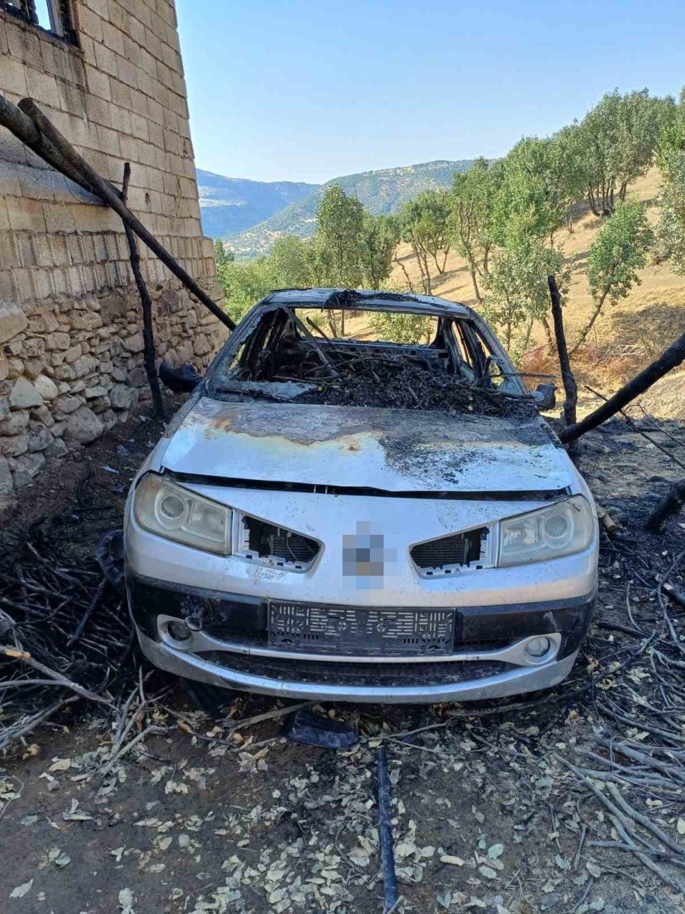 Diyarbakır'da çalılıklarda çıkan yangın otomobili kül etti