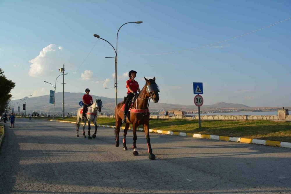 Bitlis'te atlı birlikler devriye attı