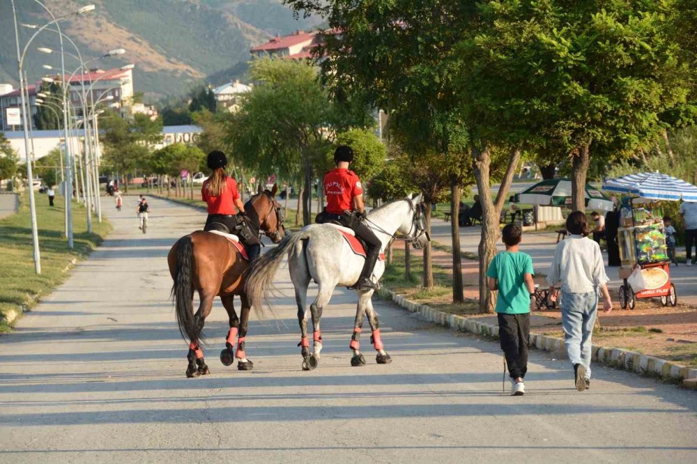 Bitlis'te atlı birlikler devriye attı