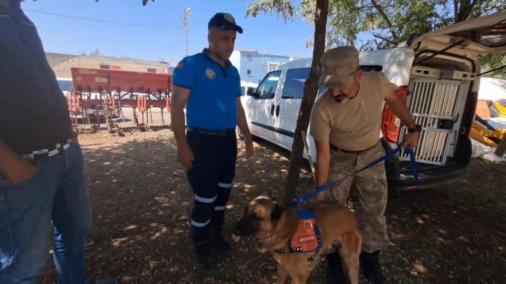 Diyarbakır’da kayıp küçük kız, karış karış aranıyor